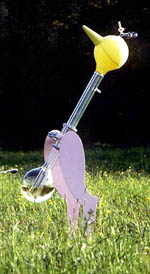 Giant drinking birds!