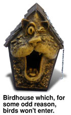 scuzzy birdhouse