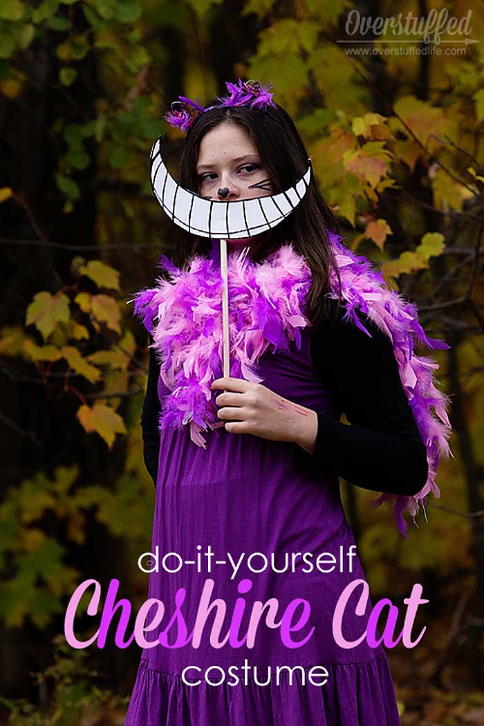 DIY Cheshire Cat Costume