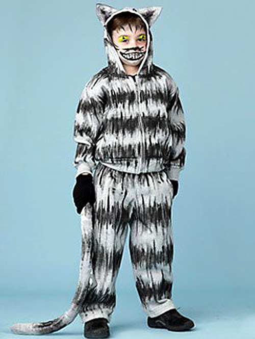 Halloween Costume Cheshire Cat