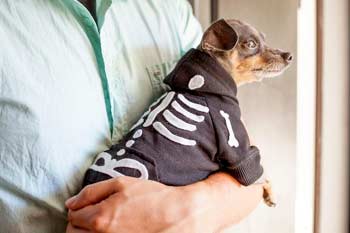 Dog Skeleton Costume