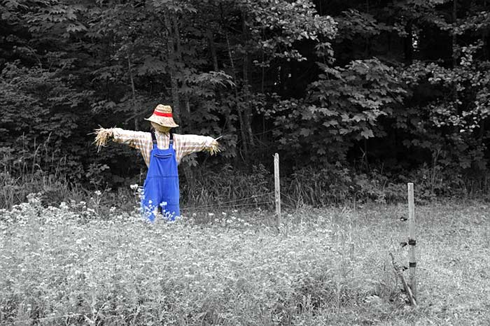 scarecrow costume with a farmer