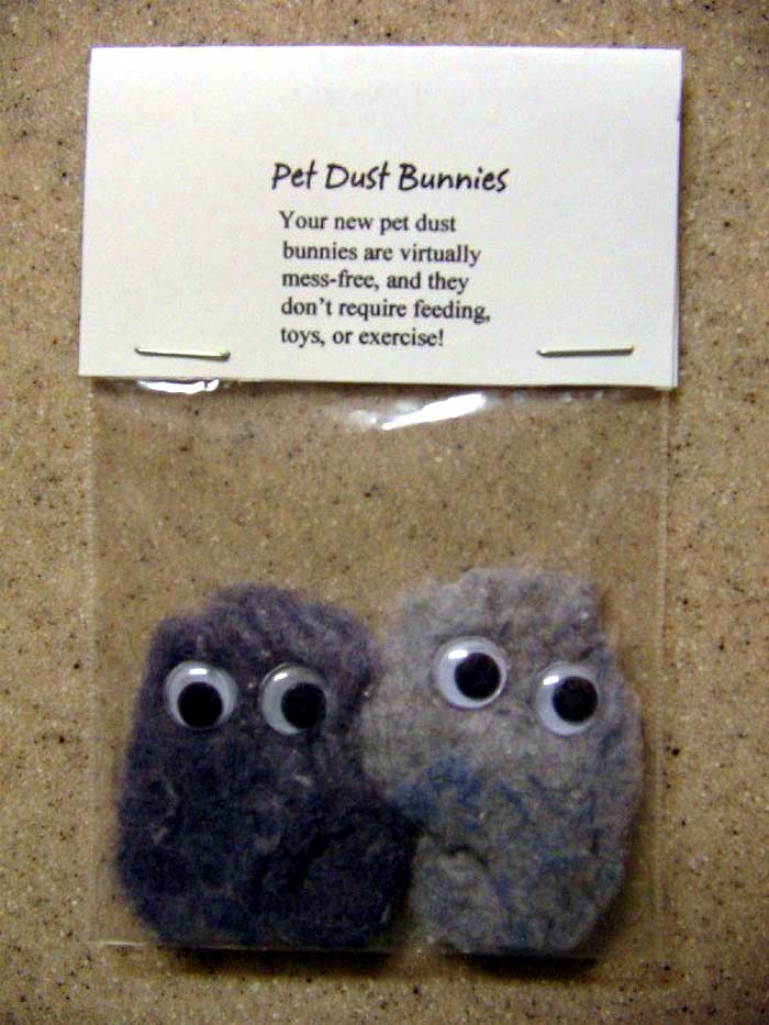 pet dust bunnies