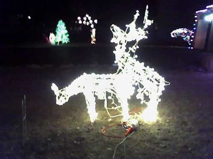 standing reindeer