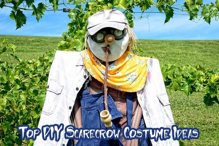 Scarecrow Costume Ideas