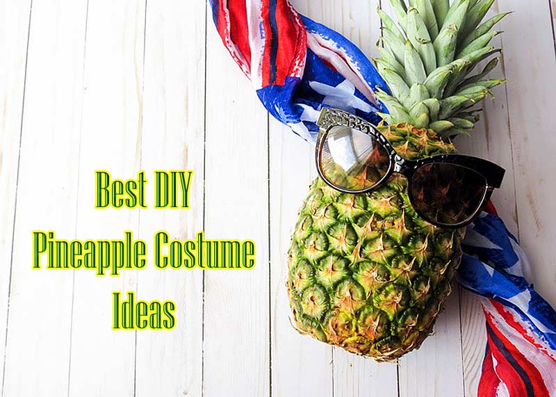 Pineapple Costume Ideas