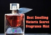 Best Smelling Victoria Secret Fragrance Mist