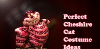 Cheshire Cat Costume Ideas