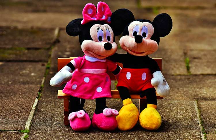 Mickey Minnie Mouse Costumes