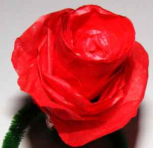 Tissue Paper Red Rose