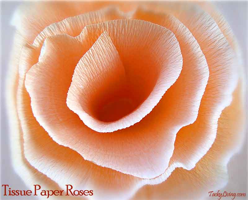 Tissue Paper Roses